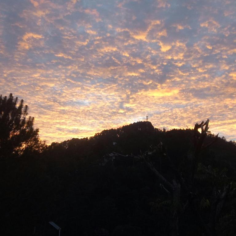 Emerald Mirror Guest Ella room 1