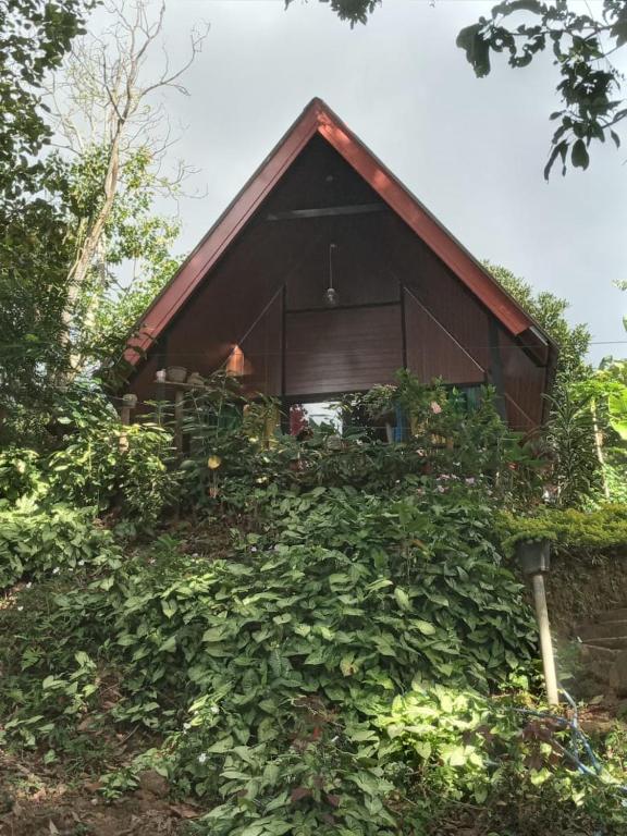 Fair View Cottage room 1