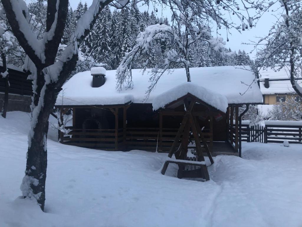 Cabana Felyviss room 4