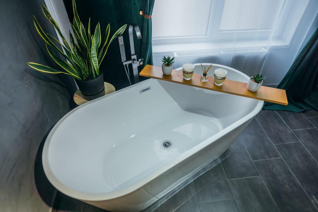 Relaxing Flat Floresti room 2