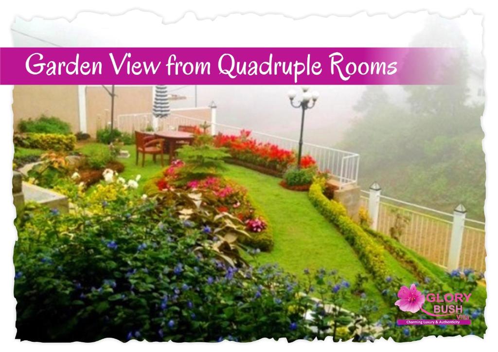 Glory Bush Boutique Villa room 2