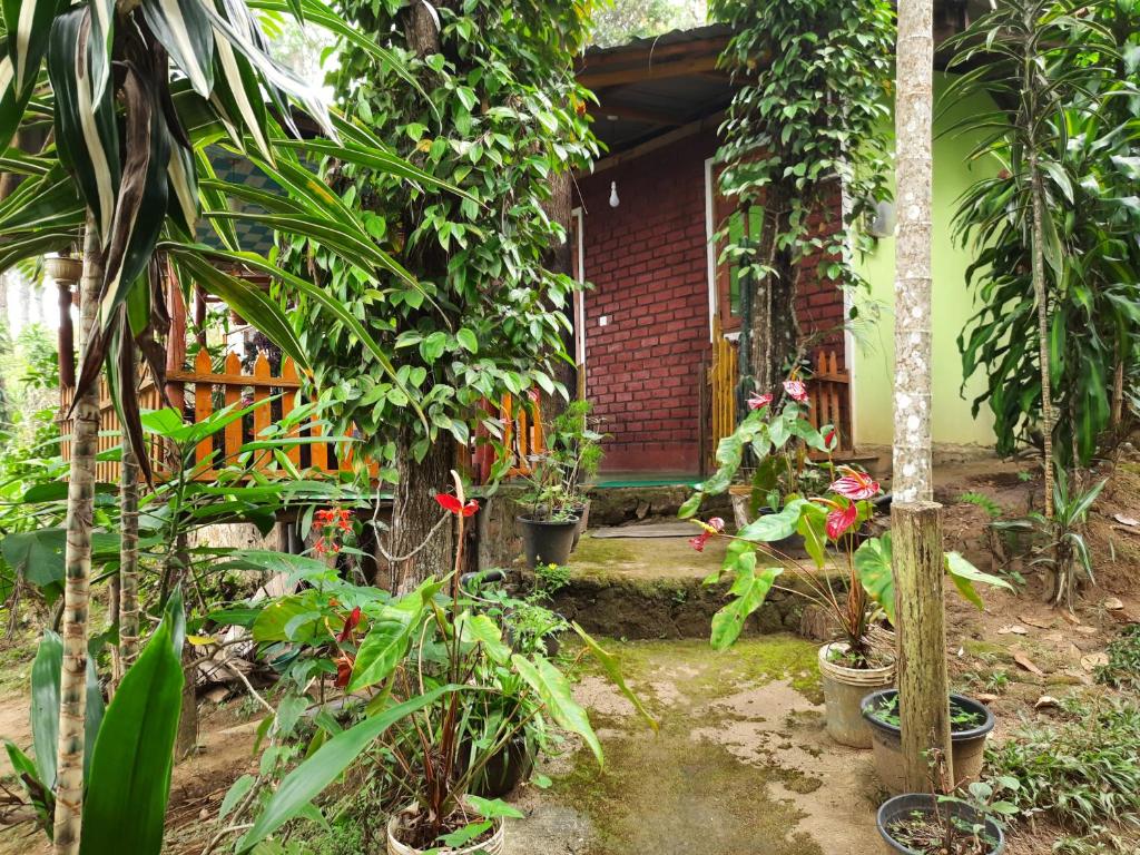 Green Heaven Lodge room 3
