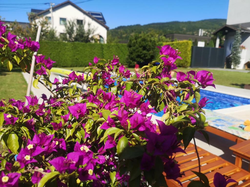 Apartment Grgic room 5