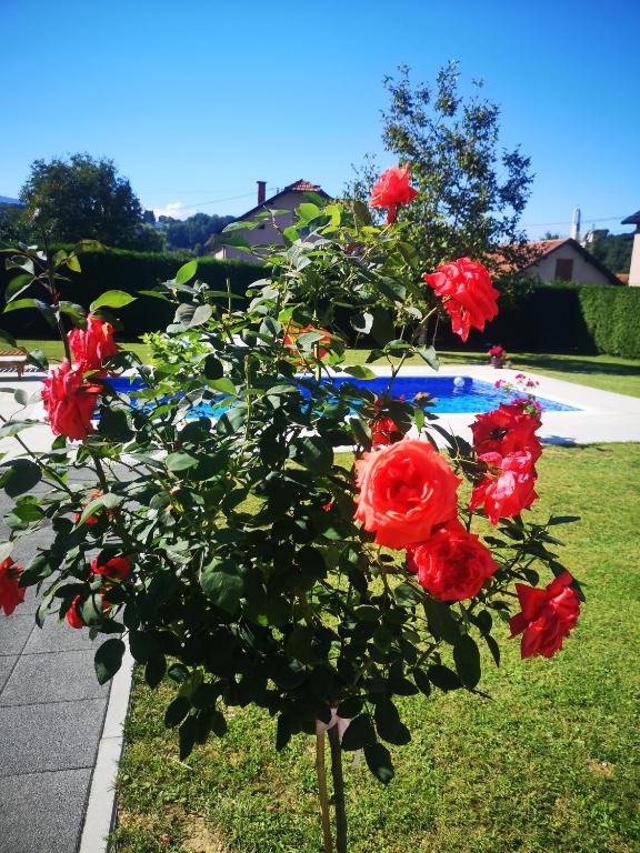 Apartment Grgic room 6