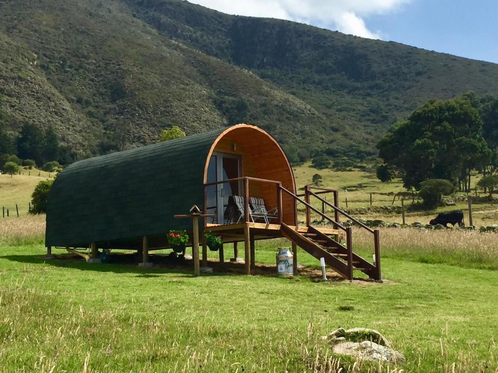 Zimnya Glamping Guatavita room 5