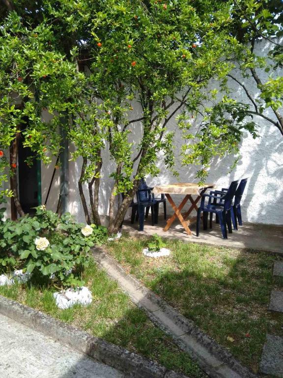 Herzegovinian Hobbiton room 1