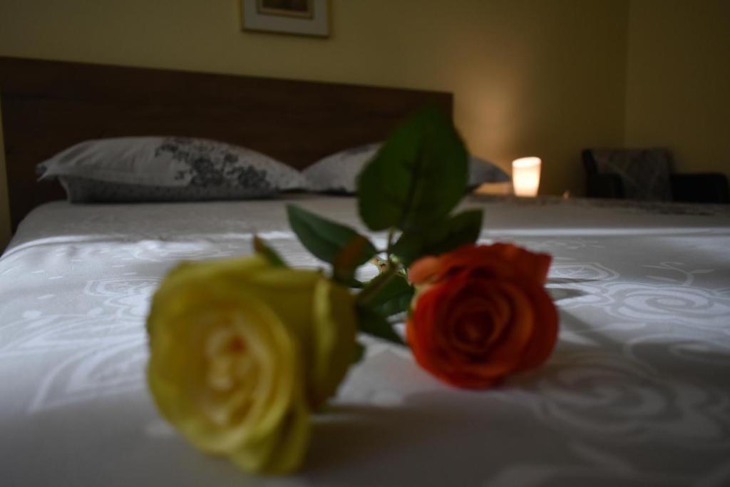 Apartment Honey room 6