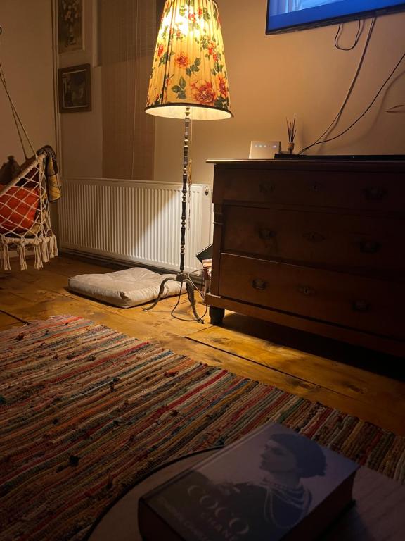 The Hunter House room 1