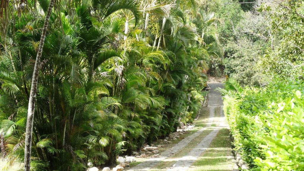 Finca Jerusalen room 5
