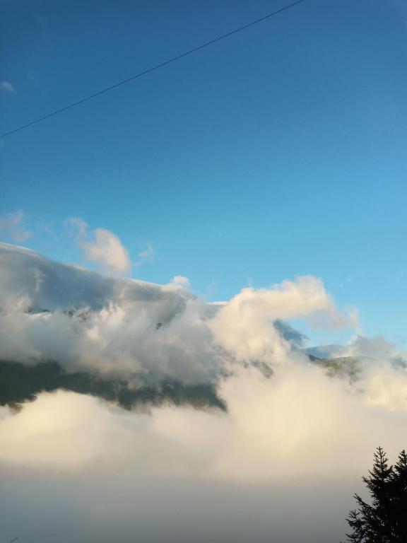 Khai Tam View Hotel room 4