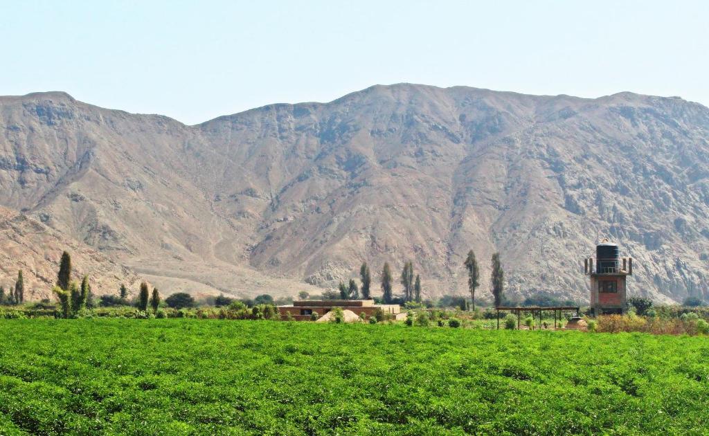 La Huaca Eco-Hostel room 4