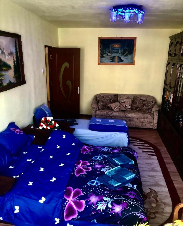 La SYMO apartament STRAJA Lupeni room 5