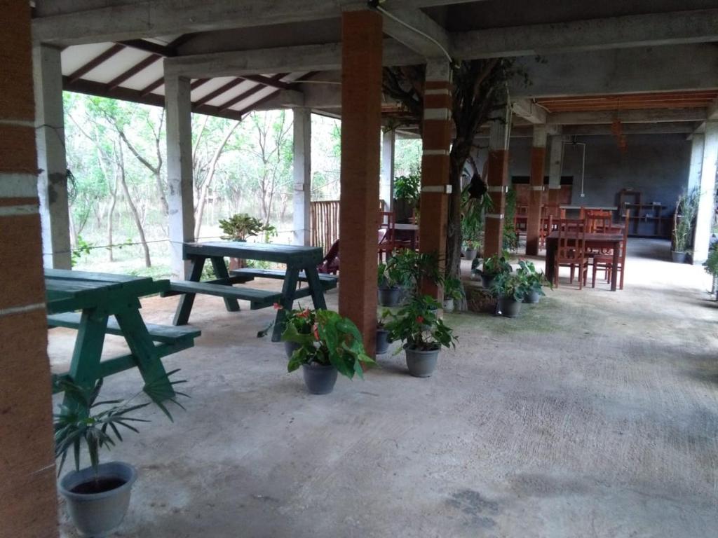 Lavish Eco Jungle room 6