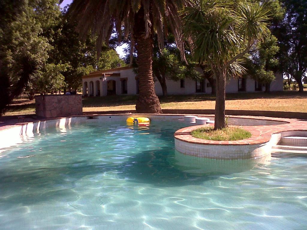Haras L'Etalon room 5