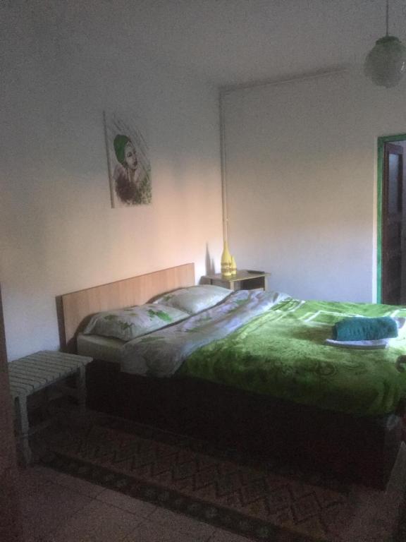 Vila Licurici room 4