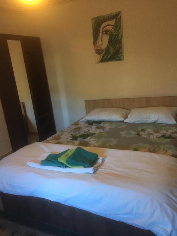 Vila Licurici room 6