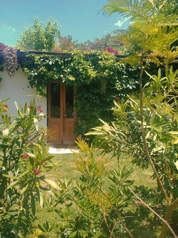 Cálido Bungalow 2- La Locanda casitas vivas - – Foto's 2