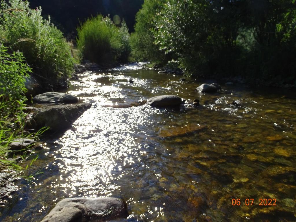 Cabana lui Foarda room 5