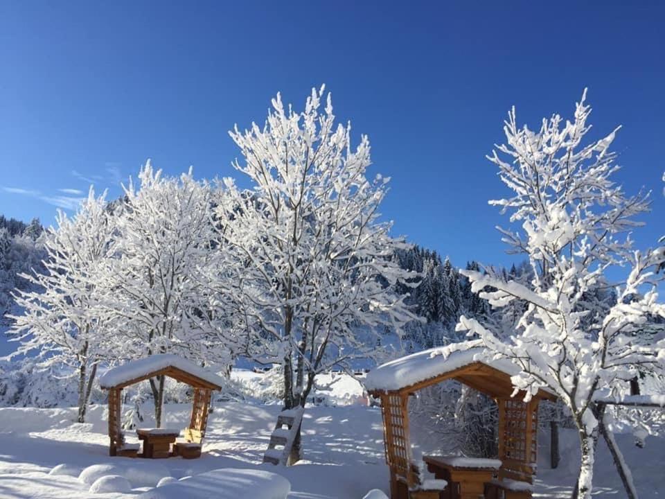 Apartman - Sobe Tiha Luka, Bjelašnica room 2