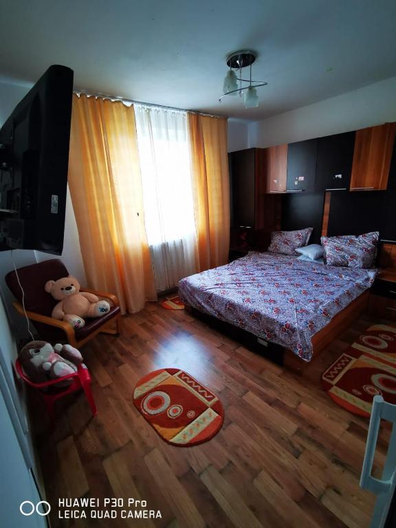 Sophia Lupeni Straja room 6