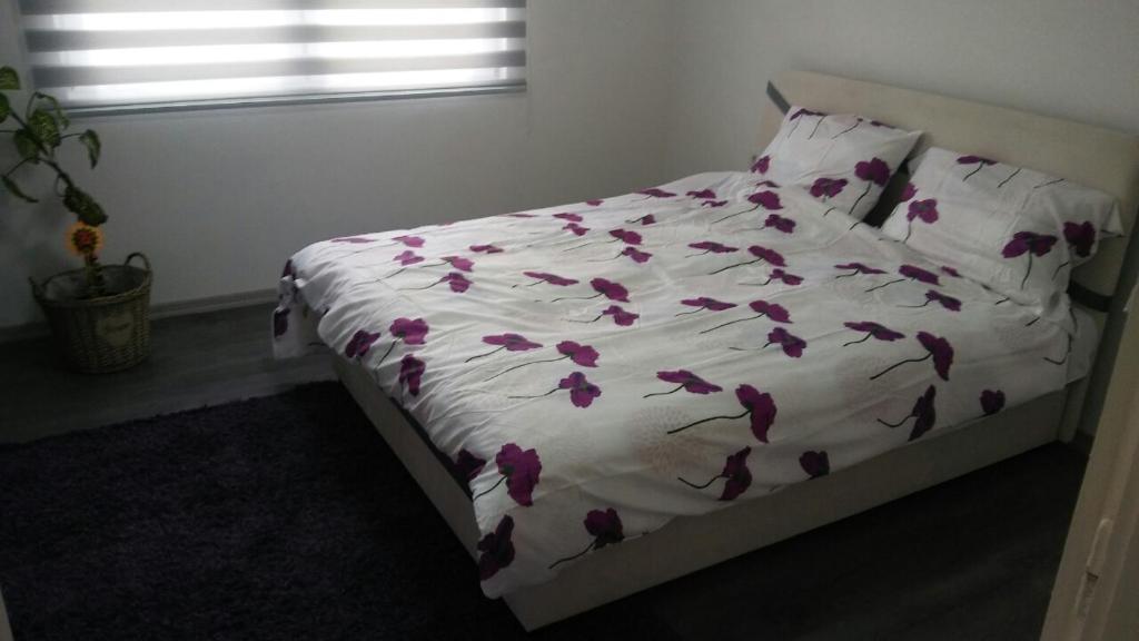 Apartman Mahala one room 6