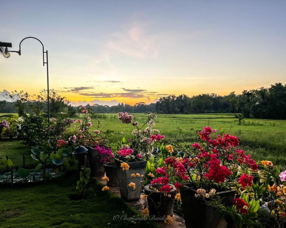 Mailagama Cinnamon Residence room 2