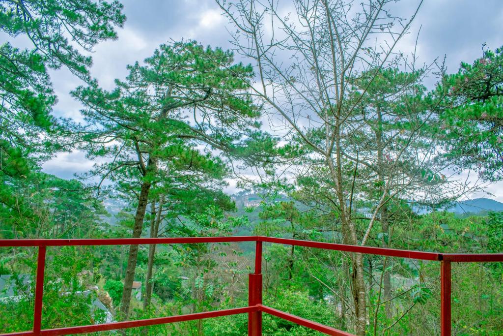 Dalat Maple Hostel & Inn room 6