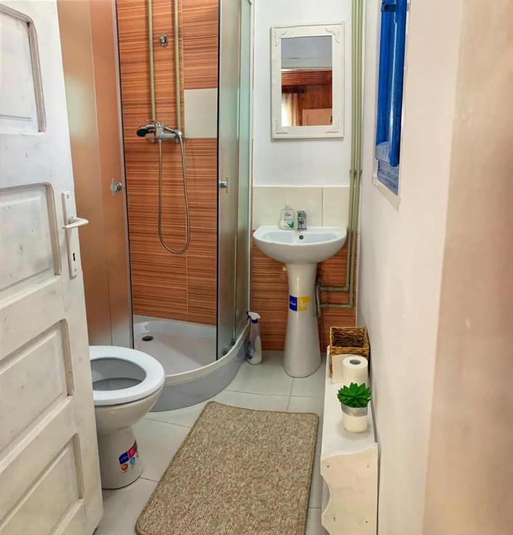 Căsuța Măriei room 5