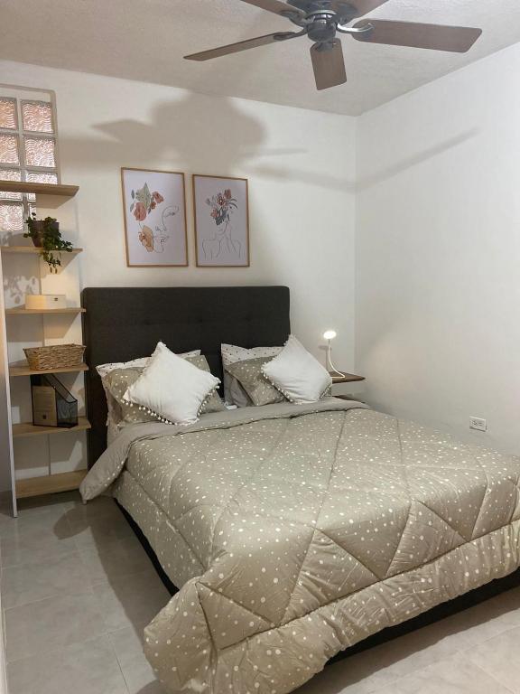 Mercanti Apts Caney room 3