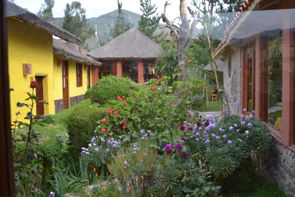 Miskiwasi Bed & Breakfast room 2