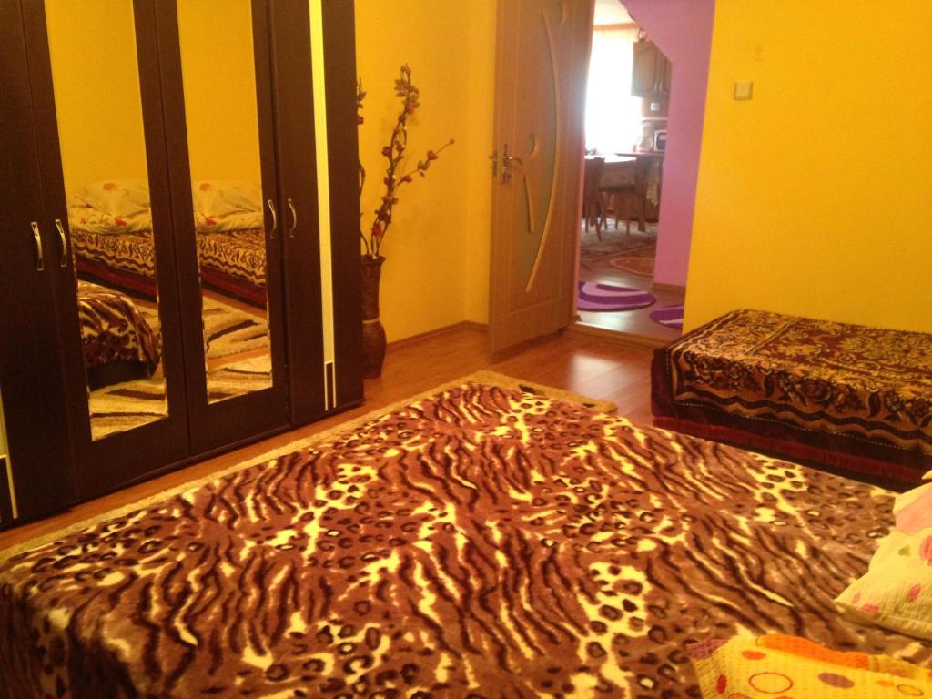 Moara Lui Ivan room 4