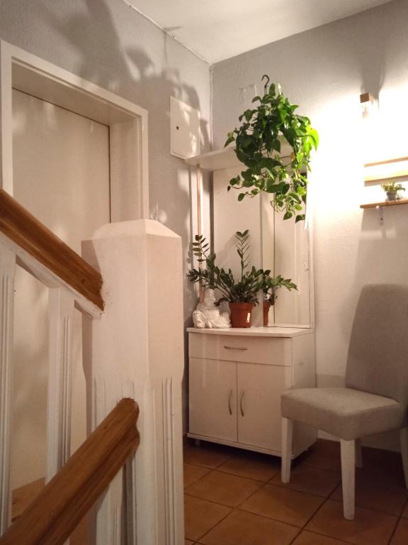 Villa Monera Apartments & Rooms room 2