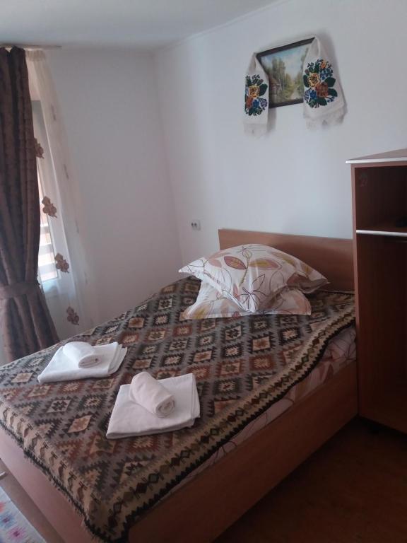 pensiunea Montana Sapinta room 2
