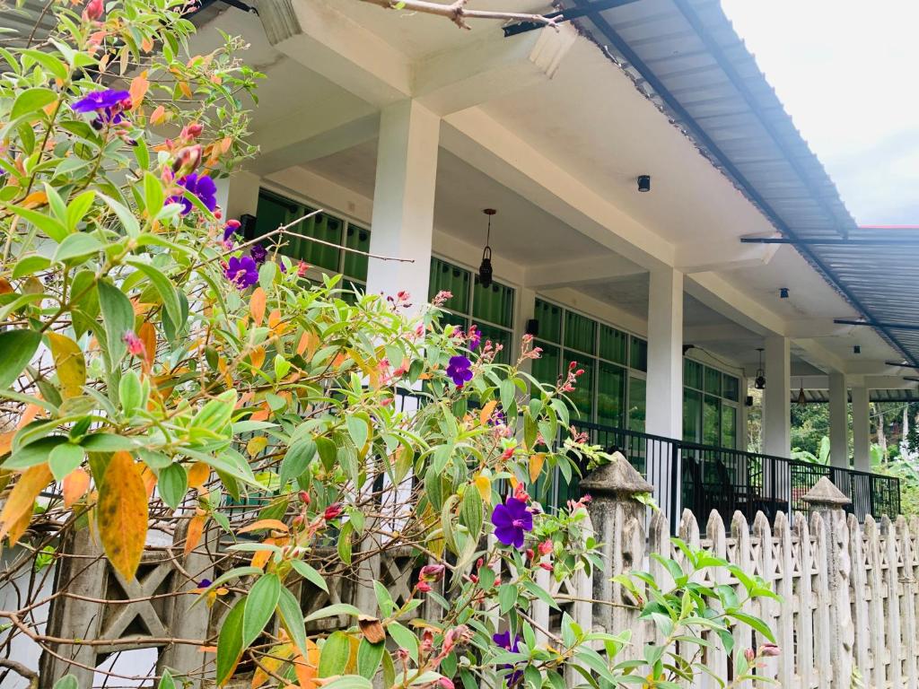 Mount Breeze Villa room 2