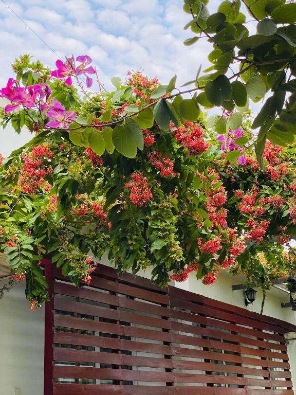 New Day Phu Quoc Guesthouse room 1