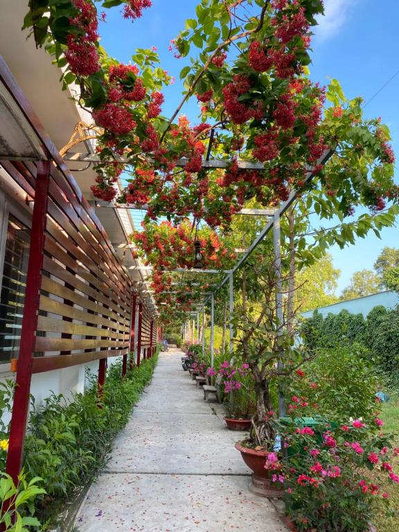 New Day Phu Quoc Guesthouse room 3