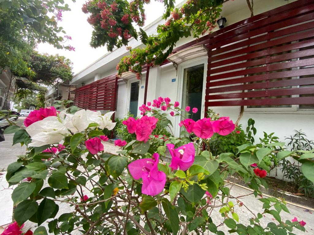 New Day Phu Quoc Guesthouse room 5