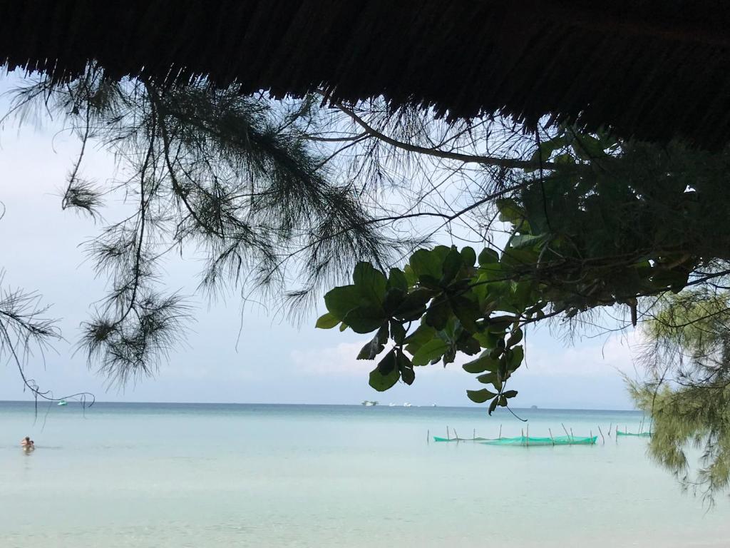 New Day Phu Quoc Guesthouse room 6