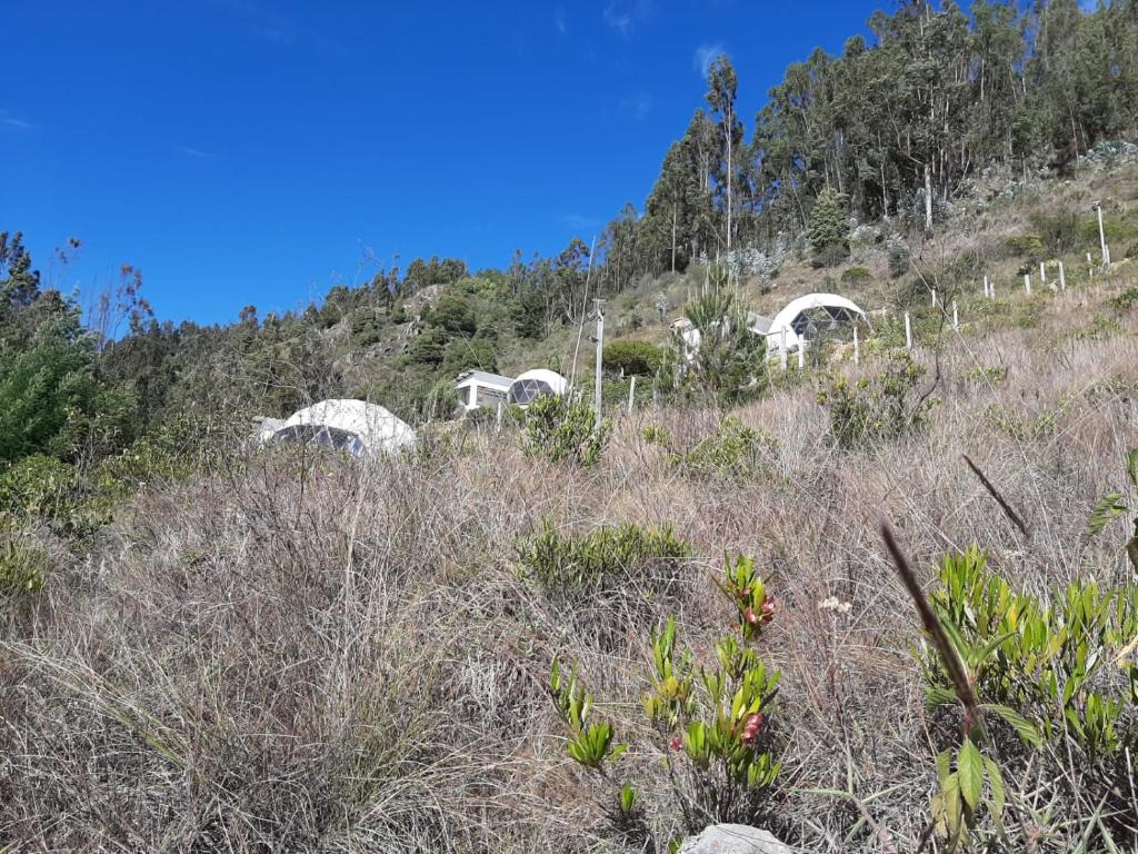Glamping NIDO VERDE room 4