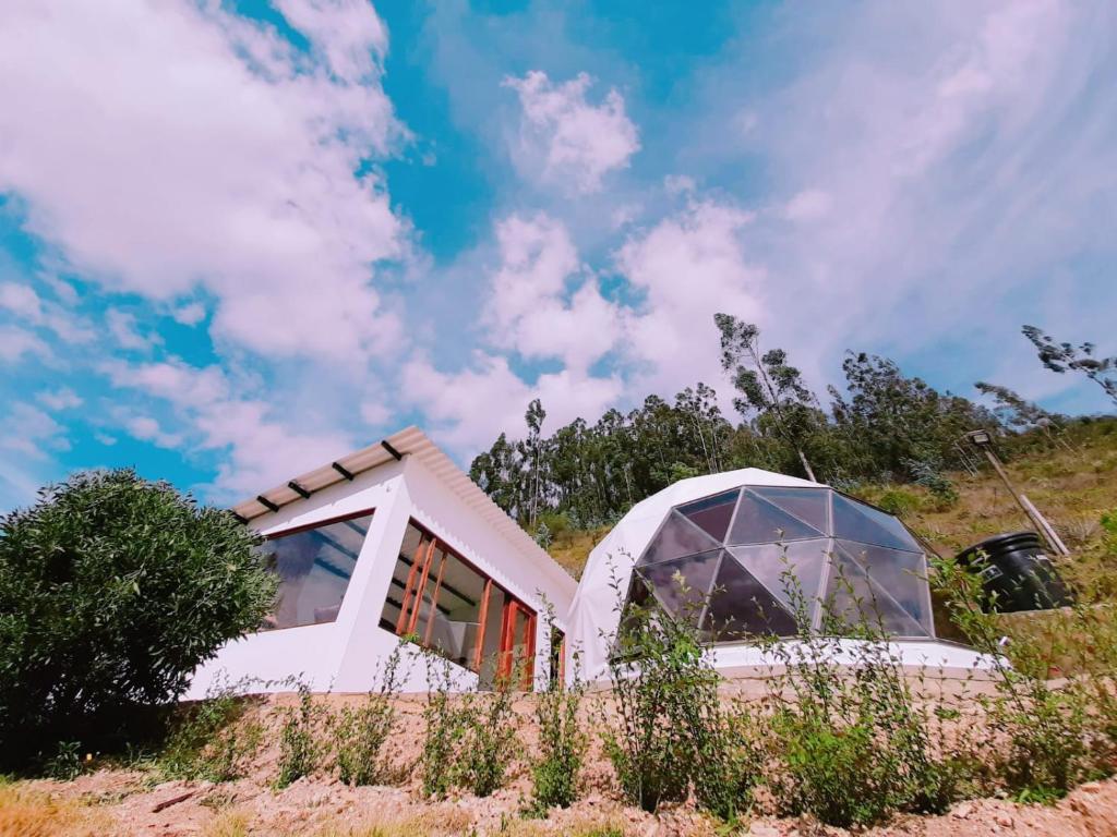Glamping NIDO VERDE room 5
