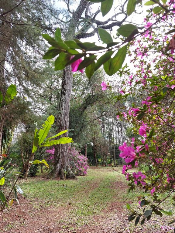 Oasis Bed and Breakfast room 1