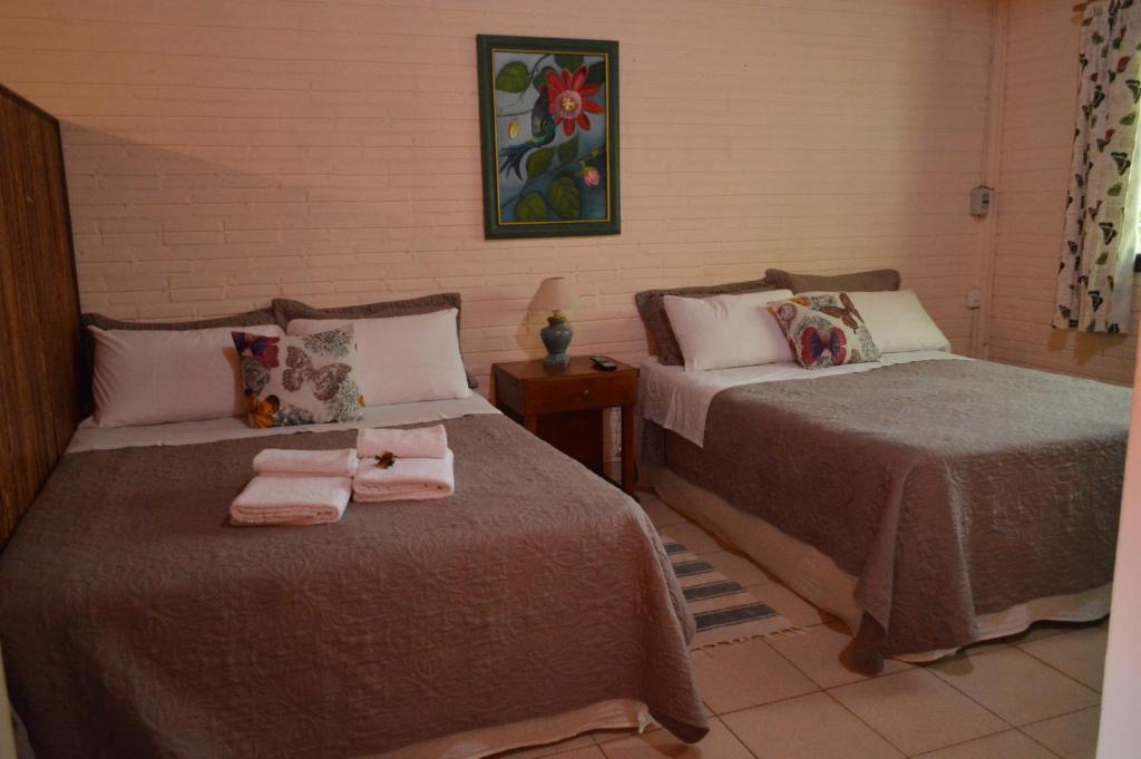 Oasis Bed and Breakfast room 6