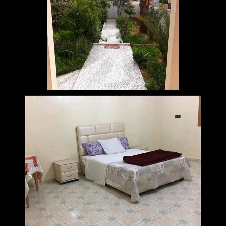 Oasispalmares room 1