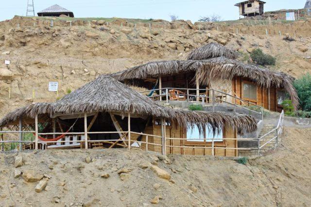 Oceanic Bungalows room 2