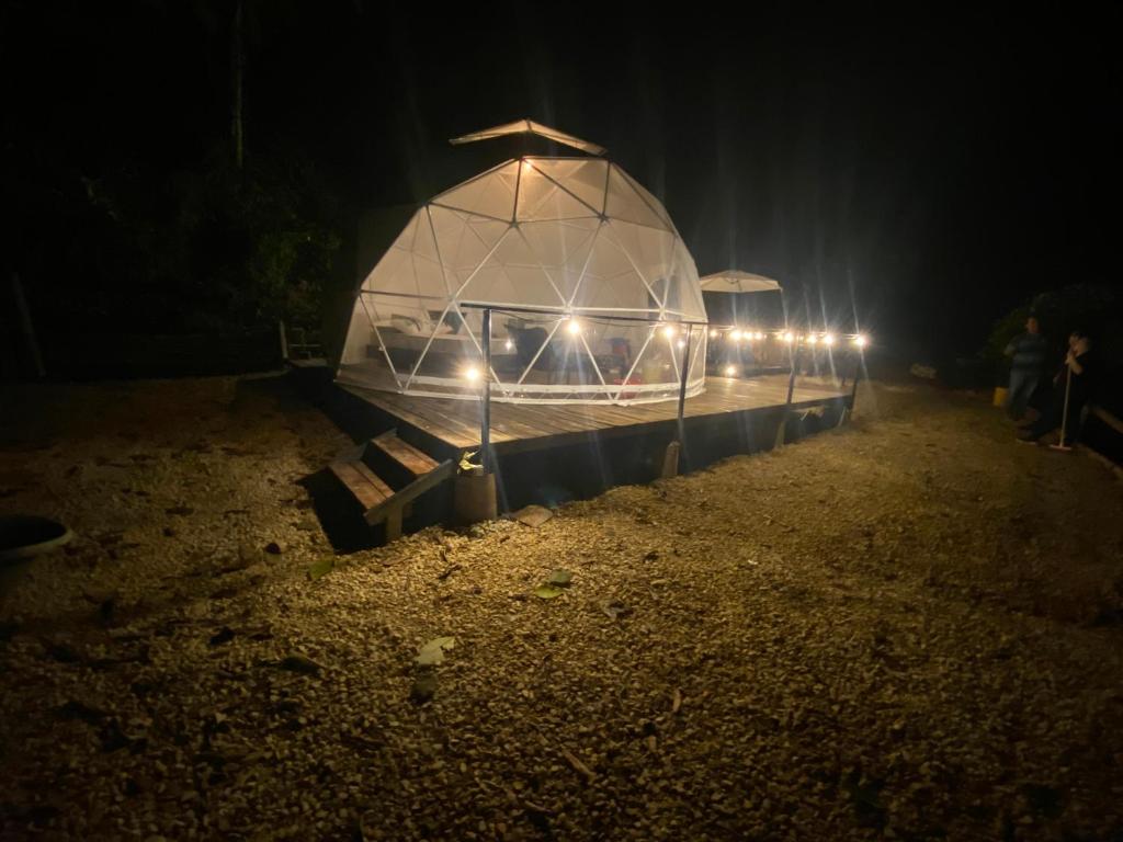 Ocobos Glamping room 6