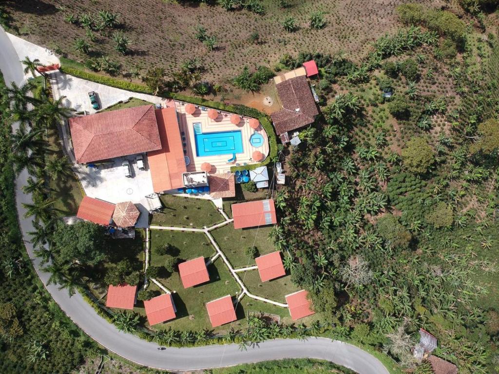 Paraíso Tropical room 5