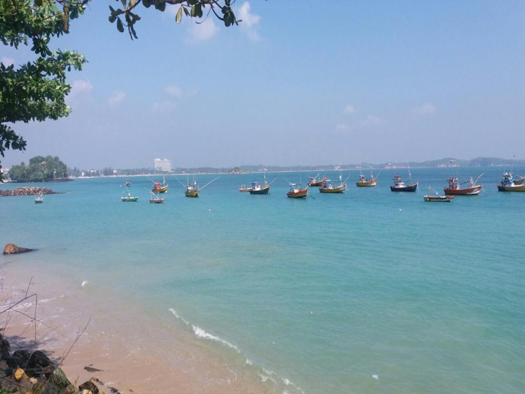 Pelli Riverine room 6