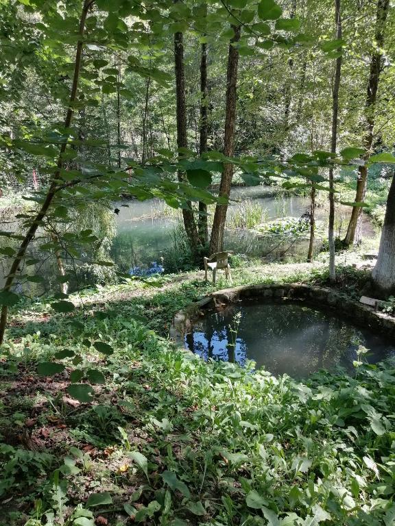 PENSIUNEA STEFANIA room 6