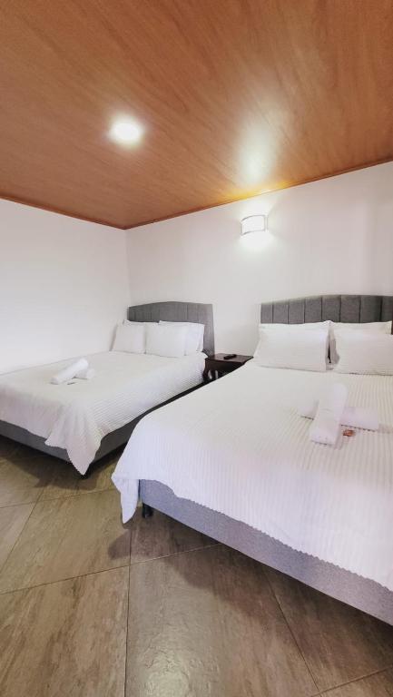 Hotel Piedra de Luna room 1