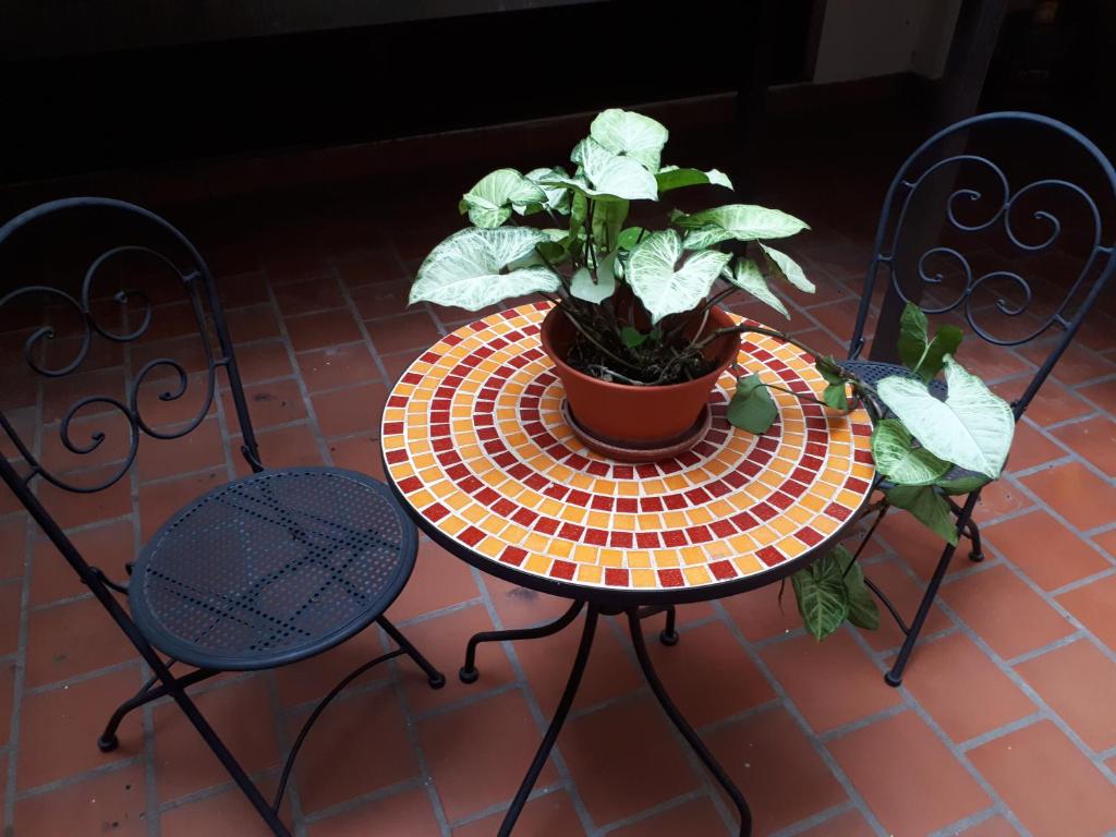 Departamento Los Pinos room 2